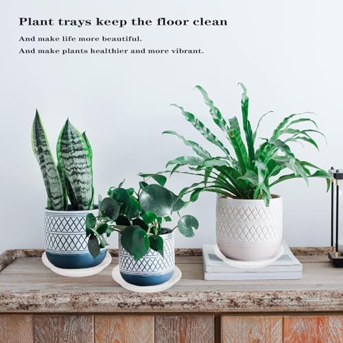 2 Pack of 19 inch Clear Plant Saucer, Large Plant Tray, Heavy Sturdy Plant Drainage Tray for Indoors, Bird Bath Bowls, Sturdy 18 inch Plastic Pot Tray for Planter