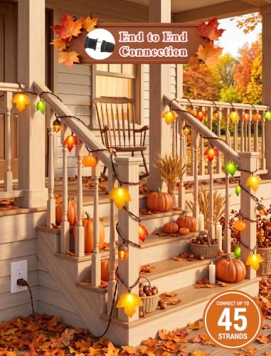 Fall Decor String Lights, 8.5FT 10 LED Thanksgiving Lights Outdoor Plug in