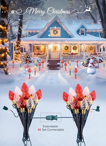 2 Pack Strawberry C9 Christmas Pathway Lights Outdoor, Total 34.8 Feet