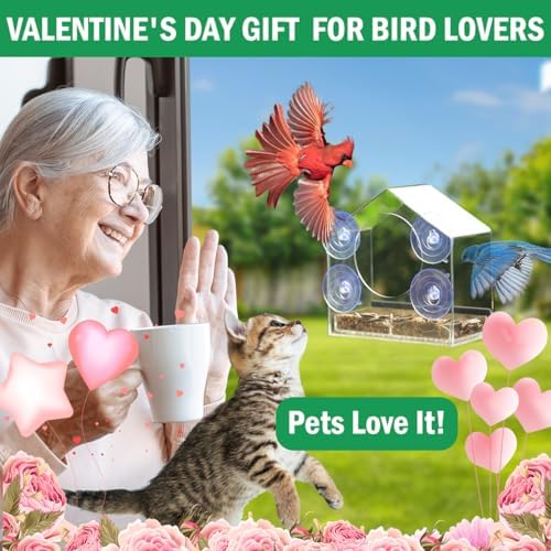 Window Bird Feeder with Strong Suction Cups - Slide-Out Tray