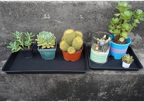 VUWEZ 2 Pack Plant Growing Nursery 1020 Trays, Plant Saucer Tray, Heavy Sturdy Seed Starting Trays, Plant Saucer for Indoors No Holes, Seed Starter Growing Tray (22"x11.2", Black)