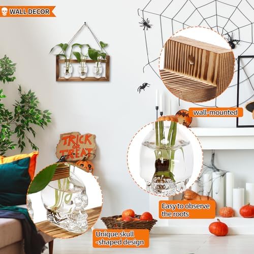 Plant Terrarium Propagation Stations Skull Planter Vase Skulls Decor