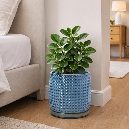 D'vine Dev Beaded Ceramic Pot with Saucer, 8 in, Ocean Teal, 27-C-Q-8