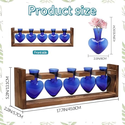 Plant Terrarium Hanging Propagation Stations Gift for Women
