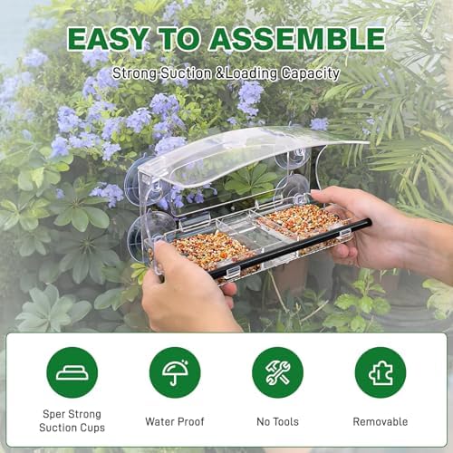 Window Bird Feeder with 4 Strong Suction Cup