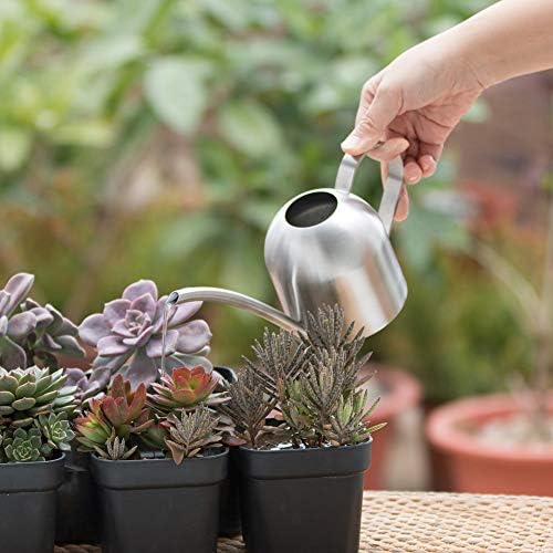 Watering Can for Indoor Plants, 450ml/15oz Stainless Steel