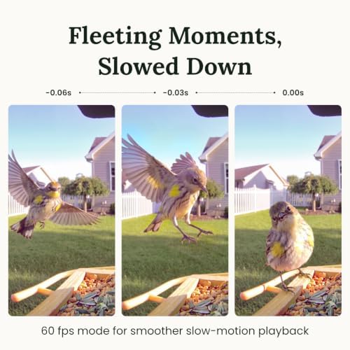 Birdfy Smart Bird Feeder with Camera Solar Powered, Slow-Motion Video & Night Insight, AI Identify 6000+ Species Lifetime Free, Ideal for Outdoors Bird Watching & Gifts for BirdLovers, Wood