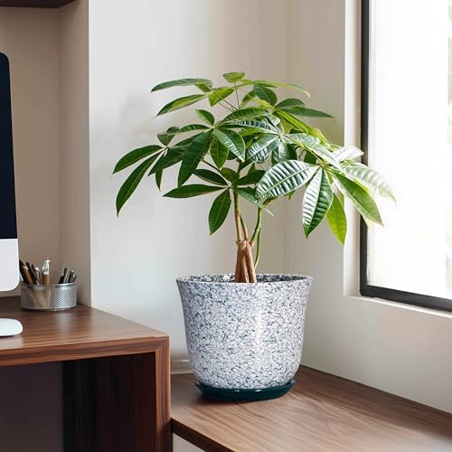 Ceramic Pots for Plants, 8 Inch Plant Pot for Indoor, Green