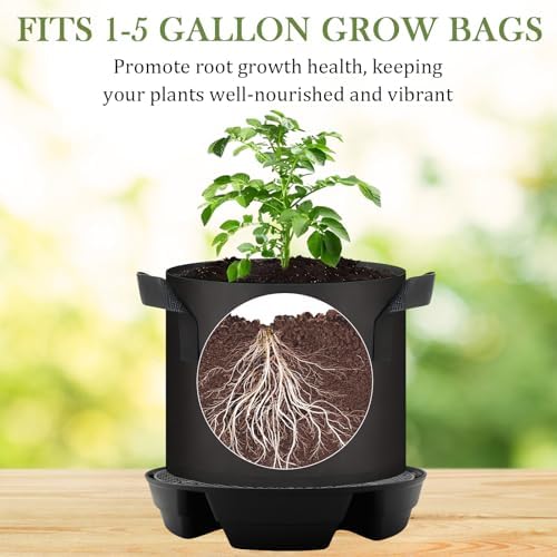 5-Pack 12" Self Watering Pots for Indoor Plants, Plastic Plant Saucer, Bottom Plant Water Catcher Tray, Indoor/Outdoor Greenhouse Garden Auto-Irrigation System for 5 Gallon Fabric Grow Bag