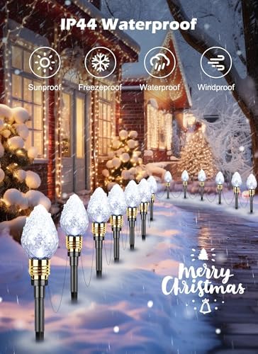 2 Pack Strawberry C9 Christmas Pathway Lights Outdoor, Total 34.8FT 20 LED