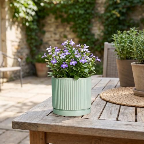Ceramic Plant Pots, 4 Inch Pots for Plants with Tray, Mint Green