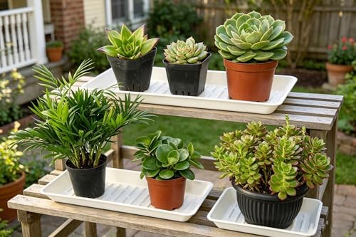 6 Pack Plastic Plant Saucer Rectangular 6 x 11 Inch, Indoor Outdoor Drip Tray for Flower Pot, Windowsill, White