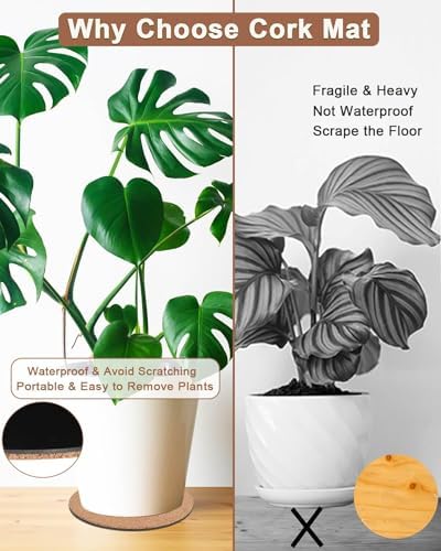 4 Inch Cork Plant Coasters, 6 Pack Round Plant Mats for Small Flower Pots
