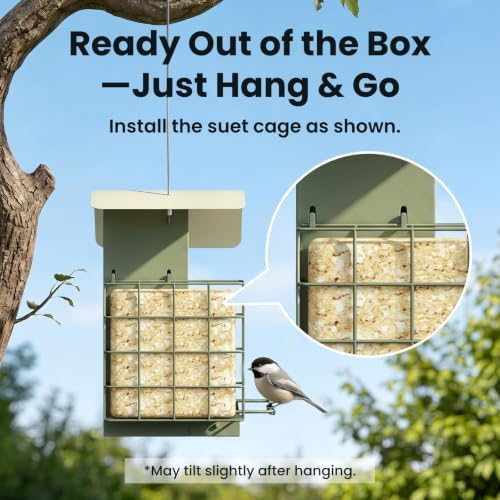 Birdfy Smart Bird Feeder with Camera Solar Powered, Gift for Bird Lovers