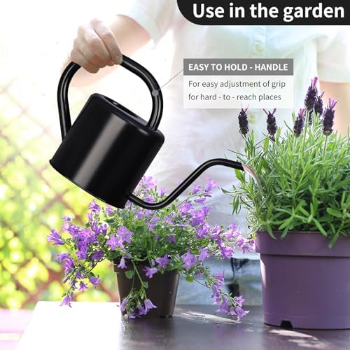 Watering Can, Stainless Steel Watering Can for Indoor & Outdoor Plants, 1L/35oz Long Spout Water Can with Handle, Rust-Proof Plant Watering Pot for House Plants, Garden Flowers