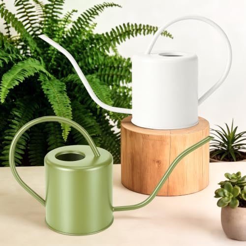 Plant Watering Can, 50 oz / 1500 ml Stainless Steel Metal - Modern Decorative with Long Spout for Indoor Potted Plants, Bonsai, Garden Flowers, Cream White