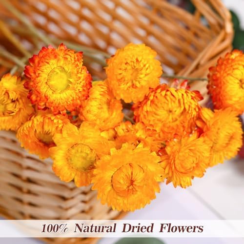40 Pcs Dried Daisy Flower Bouquet, 17" Yellow Fall Flowers, Vase Filler