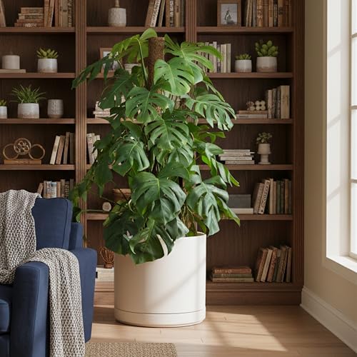 D'vine Dev 16 Inch Ceramic Planter Pot, Oatmeal, 94-O-H-8