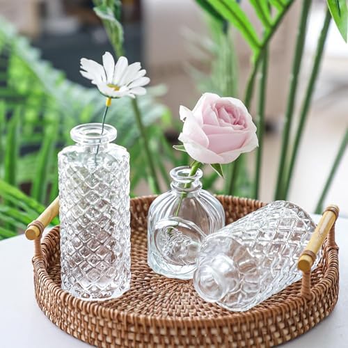 Fixwal 18 Pack Small Bud Vases for Centerpieces, Clear Vases for Flowers