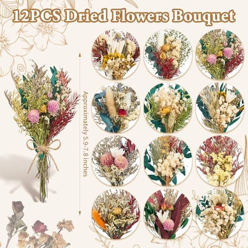 12/24PCS Handmade Dried Flower Bouquet with Stems Natural Dried Wildflowers 7.5 Inch Mini Dry Flowers for Vase Farmhouse Decor, Wedding Styling, Photography Props, Gift DIY(12pcs, Bright)