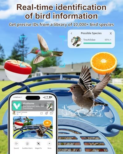 Bird Feeder with Camera, AI Recognition, Bird Bath, Solar Powered