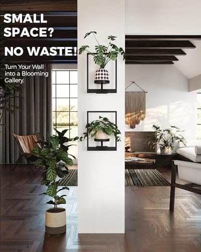 Bamworld Wall Plant Holder Plant Stand Indoor Wall Planters Black