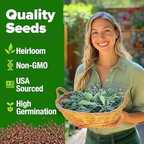 HOME GROWN White Sage Seeds, 323 Seeds, Salvia apiana