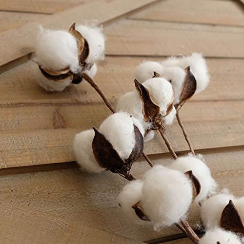 idyllic Cotton Stems Decor Branches, Cotton Flowers Plants for Decorations, Dried Flowers for Vase, 6 Pcs-31 Inches Tall - 12 Bolls per Stem