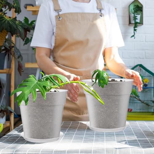 Baderke 3 Pack Clear Nursery Pot,9.25 Inches