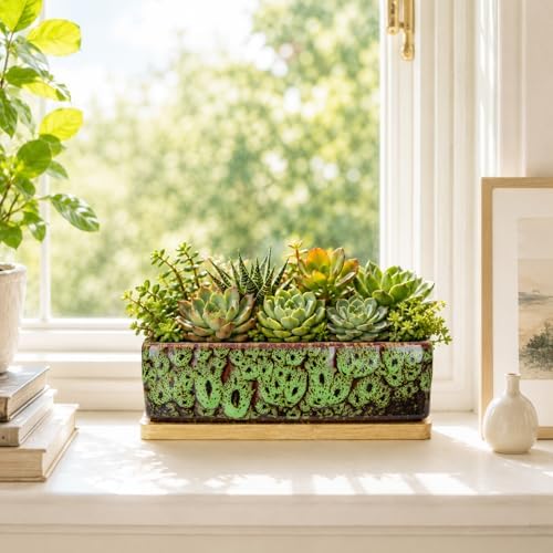 Succulent Pots, 7'' Large Long Rectangle Planters with Drainage Tray