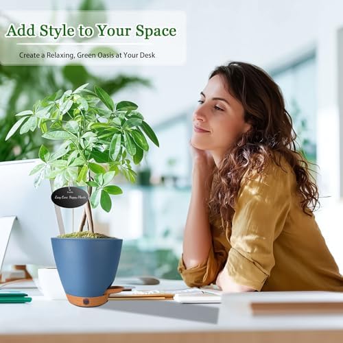 6 Inch Small Self Watering Pots for Indoor Plants, 5-Pack