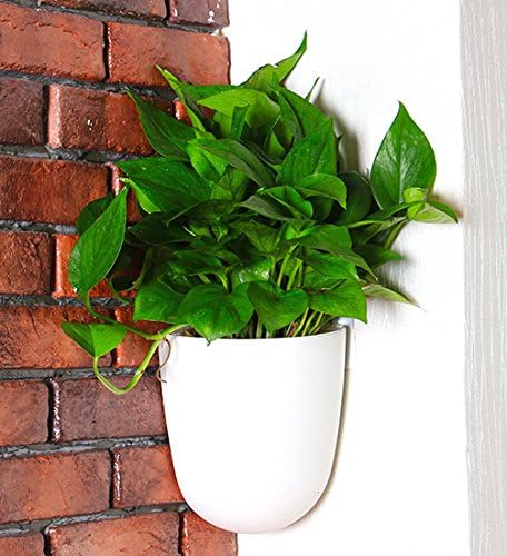 ORIMERC 4 Pack Corner Wall Mounted Hanging Planter Self Watering Triangle Plastic Flower Pot Decorative Modern Plant