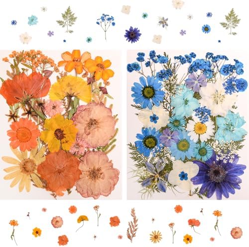 182 PCS Real Pressed Dried Flowers and Leaves for DIY Crafts
