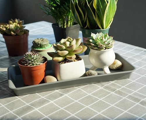VUWEZ 6 Pack Rectangular Plastic Plant Tray Saucer, Gray, 6.5 X 13 Inch, Indoor/Outdoor, High Load Bearing, Water Resistant