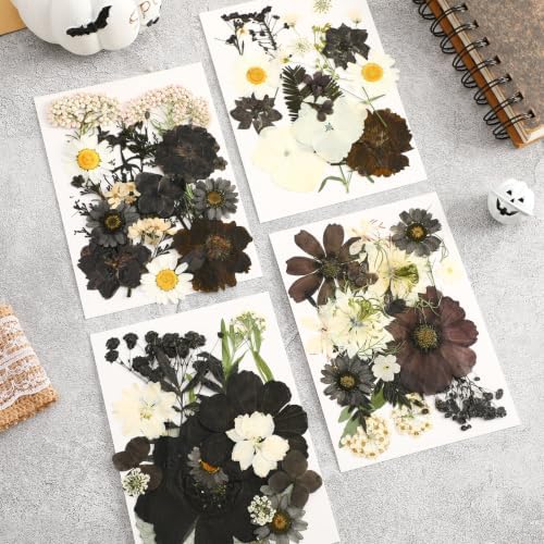Augshy Halloween Black Pressed Dried Flowers for Resin Molds Crafts