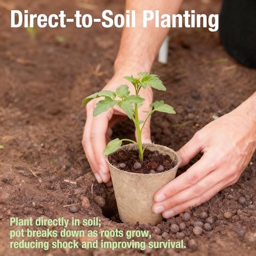 Peat Pots for Seedlings, Seed Starter Pots, 40 Pcs 3.15 Inch, Biodegradable Plant Starter Nursery Pots with Drainage Holes, Organic Round Planting Pots for Vegetables Herbs