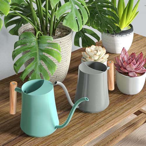 Green Moon 1L/35oz Metal Watering Can Indoor with Long Spout, Gray