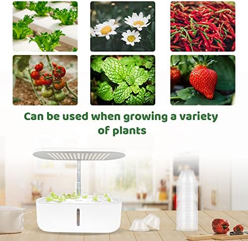 50 Pack Clear Humidity Grow Domes for Plants, 1.57in Inner Diameter