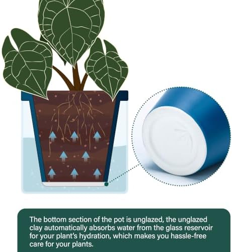 D'vine Dev Self-Watering Blue Terracotta Planter, 6 in, 2-Pack, 37-Y-B-4
