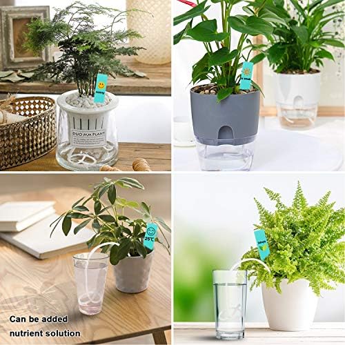 Augshy 1/6 Inches Self Watering Wick Cord String Cotton Rope for DIY Plant Automatic Watering Device (40 Feet)