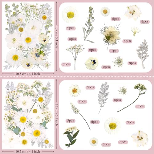 95 Pcs White Pressed Dried Flowers for Resin, Real Natural Bulk Dry Wildflowers Leaves Perfect for Epoxy Molds, DIY Crafts, Home Decor, Soap Candles Jewelry Making