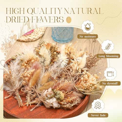 Layhit 12 Pcs Mini Dried Flower Bouquet Boho for Wedding,Rustic