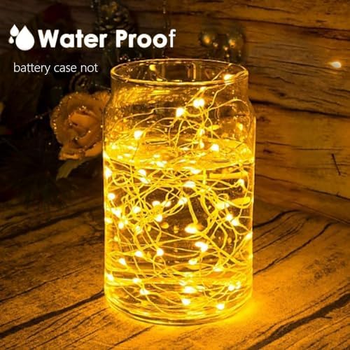 24 Pack Fairy Lights Battery Operated 7FT 20 LED String Lights Warm White