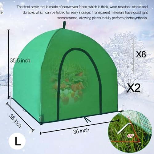 36″*36″*35.5″, Mini Greenhouse Winter Plant Warm Covers - Raised Bed Cover for Seed Starting, Warm Tent Freeze Protection Humidity Domes for Gardening & Winter Shelter and Protecting Plants 2pcs