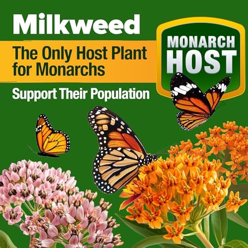 HOME GROWN Monarch Butterfly Wildflower Mix Seeds, 20,000+ Seeds, 2 oz