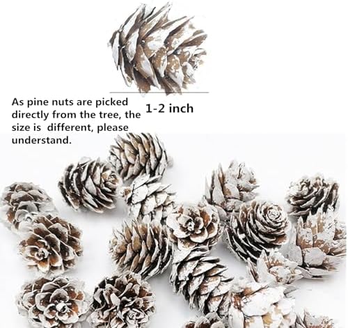 100 Pcs Christmas Mini Pine Cones,Xmas Thanksgiving Snow Pinecone Ornaments