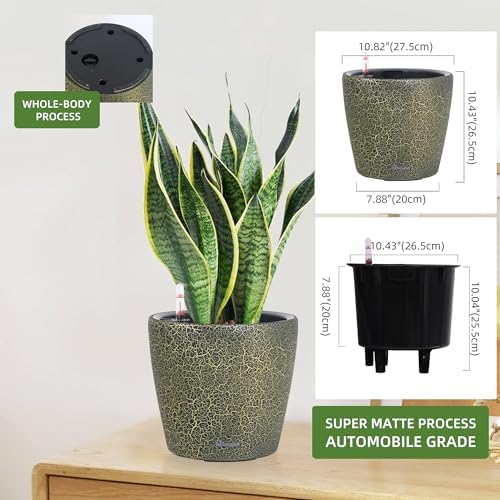 Dexceder 11x10 Self Watering Planter (Black Gold Crackle)