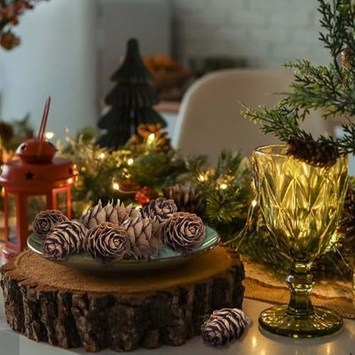 250 Pcs Christmas Natural Mini Pine Cones-Thanksgiving Pine Cone Ornaments