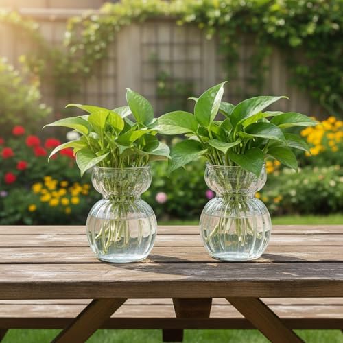 Avocado Hyacinth Bulb Vase 5''(H) Small Vases Table Clear 6pcs Glass