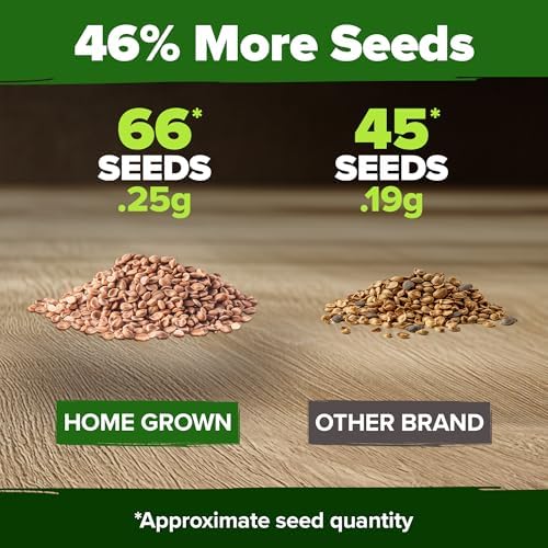 HOME GROWN San Marzano Tomato Seeds, 66+ Seeds, Solanum lycopersicum